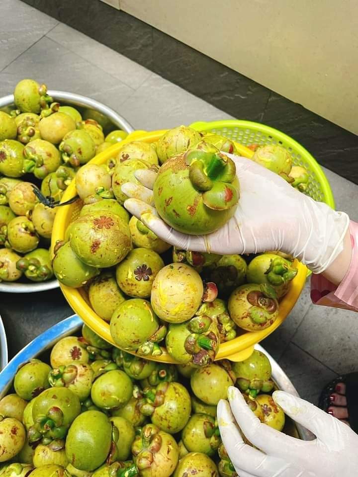 Măng cụt Quả măng cụt Mangosteen Nhà Vườn Tại Gia