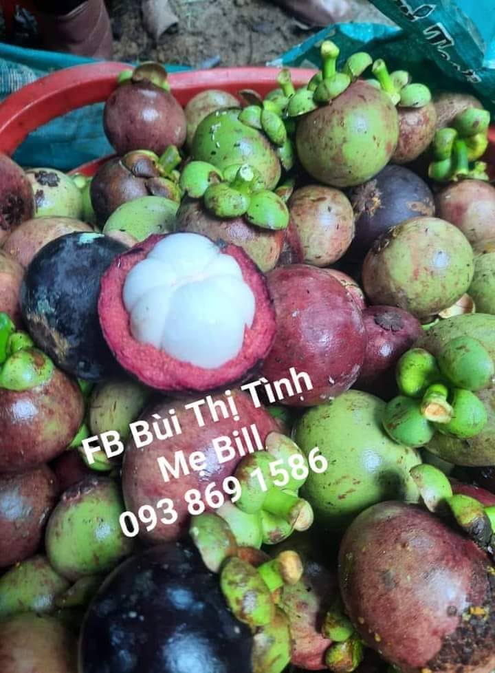 Mua Măng cụt hữu cơ TPHCM Facebook Bùi Thị Tình Mẹ Bill