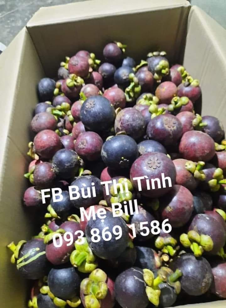 Mua Măng cụt hữu cơ TPHCM Facebook Bùi Thị Tình Mẹ Bill