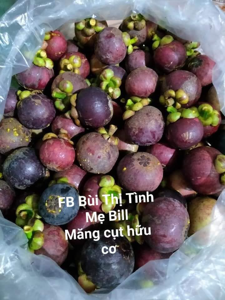 Mua Măng cụt hữu cơ TPHCM Facebook Bùi Thị Tình Mẹ Bill