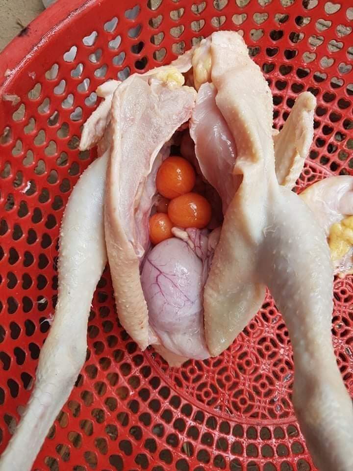 Gà ủ muối hoa tiêu da giòn, thịt hồng ngon từ gà vườn nhà ông Am