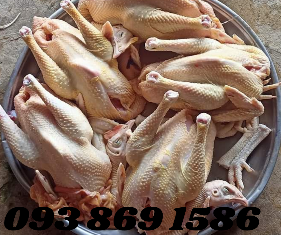 Gà ủ muối hoa tiêu da giòn, thịt hồng ngon từ gà vườn nhà ông Am