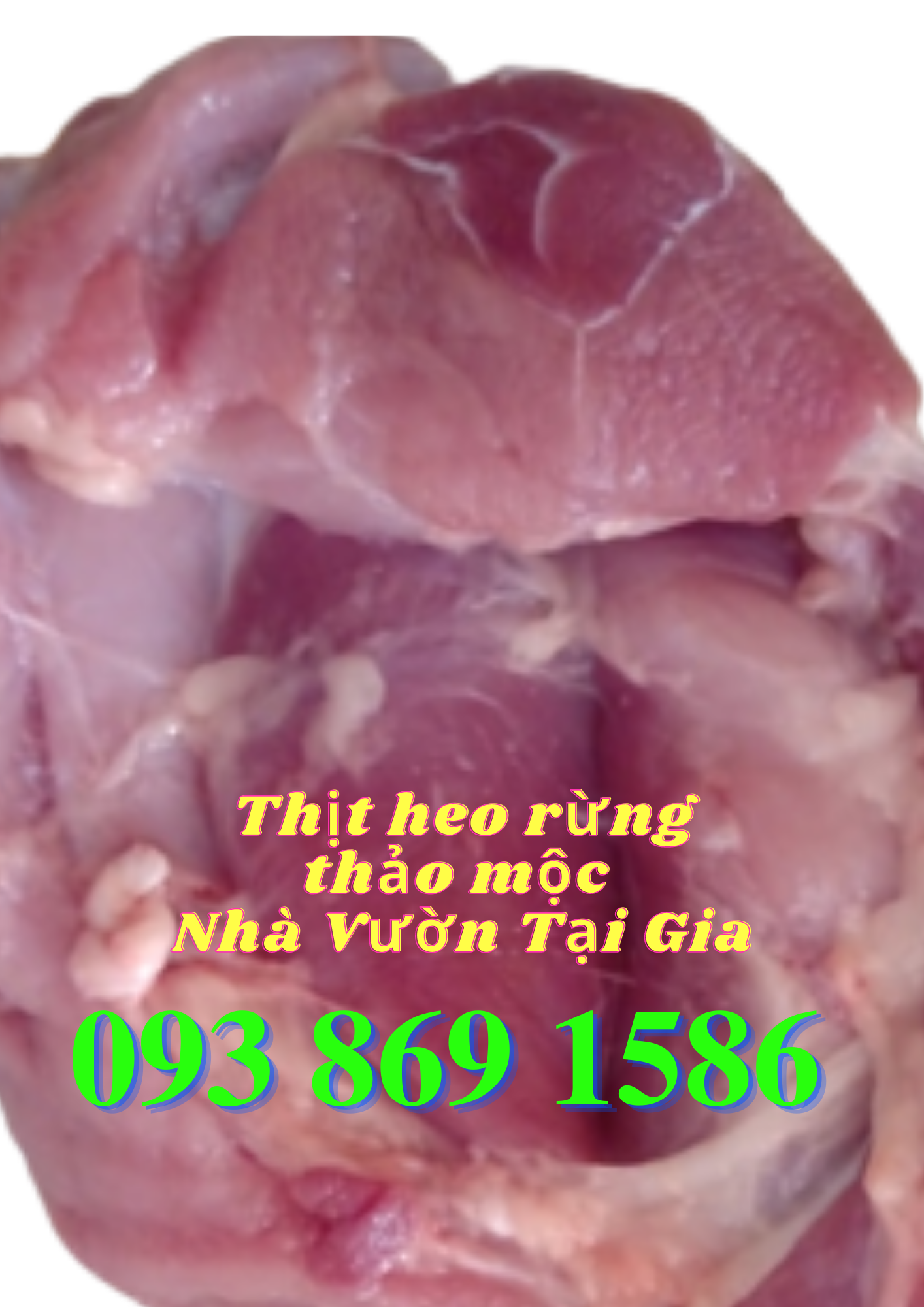 Mua thịt heo (lợn) rừng lai F1 tại TPHCM đặt trực tiếp từ nhà nuôi