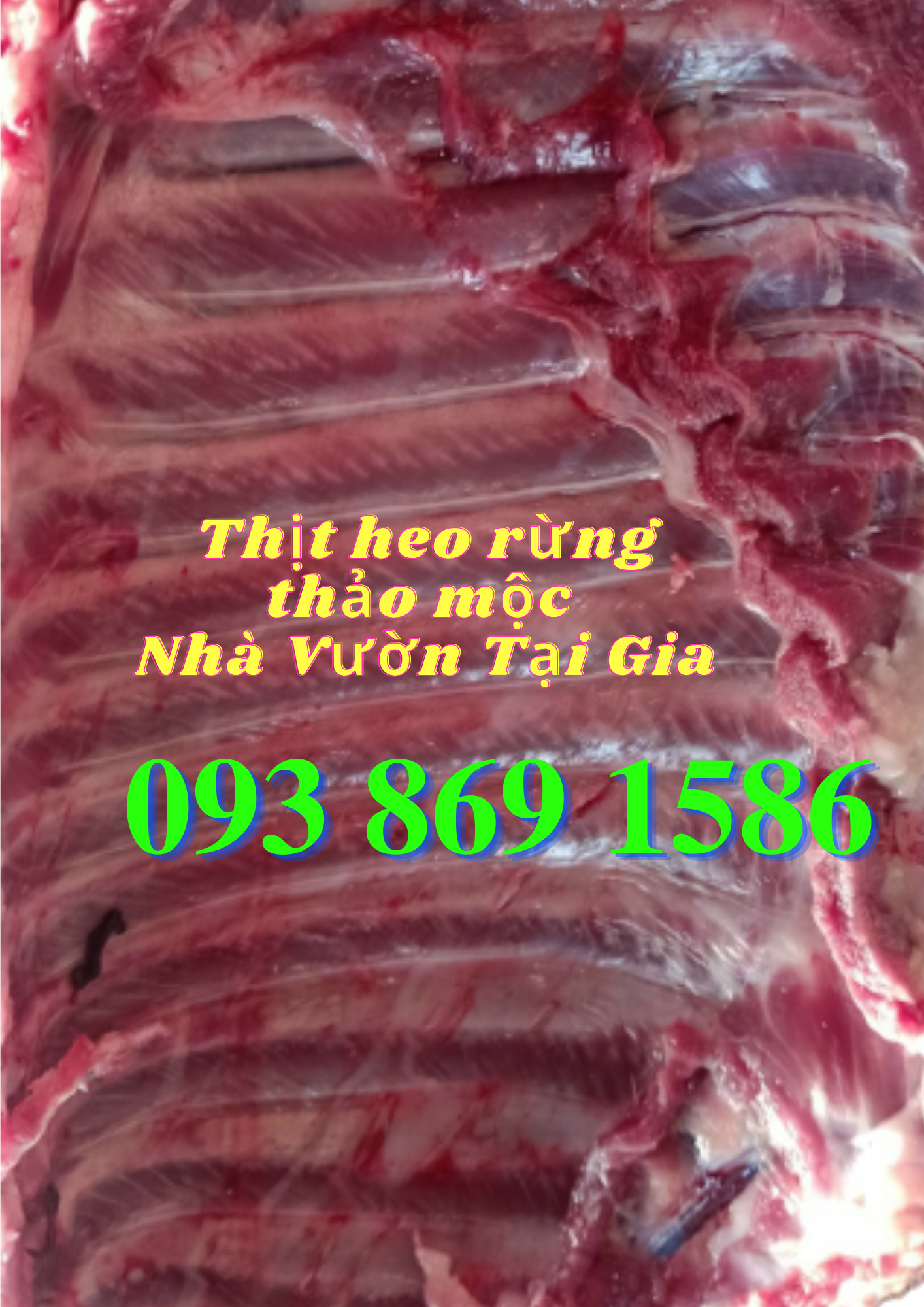 Mua thịt heo (lợn) rừng lai F1 tại TPHCM đặt trực tiếp từ nhà nuôi