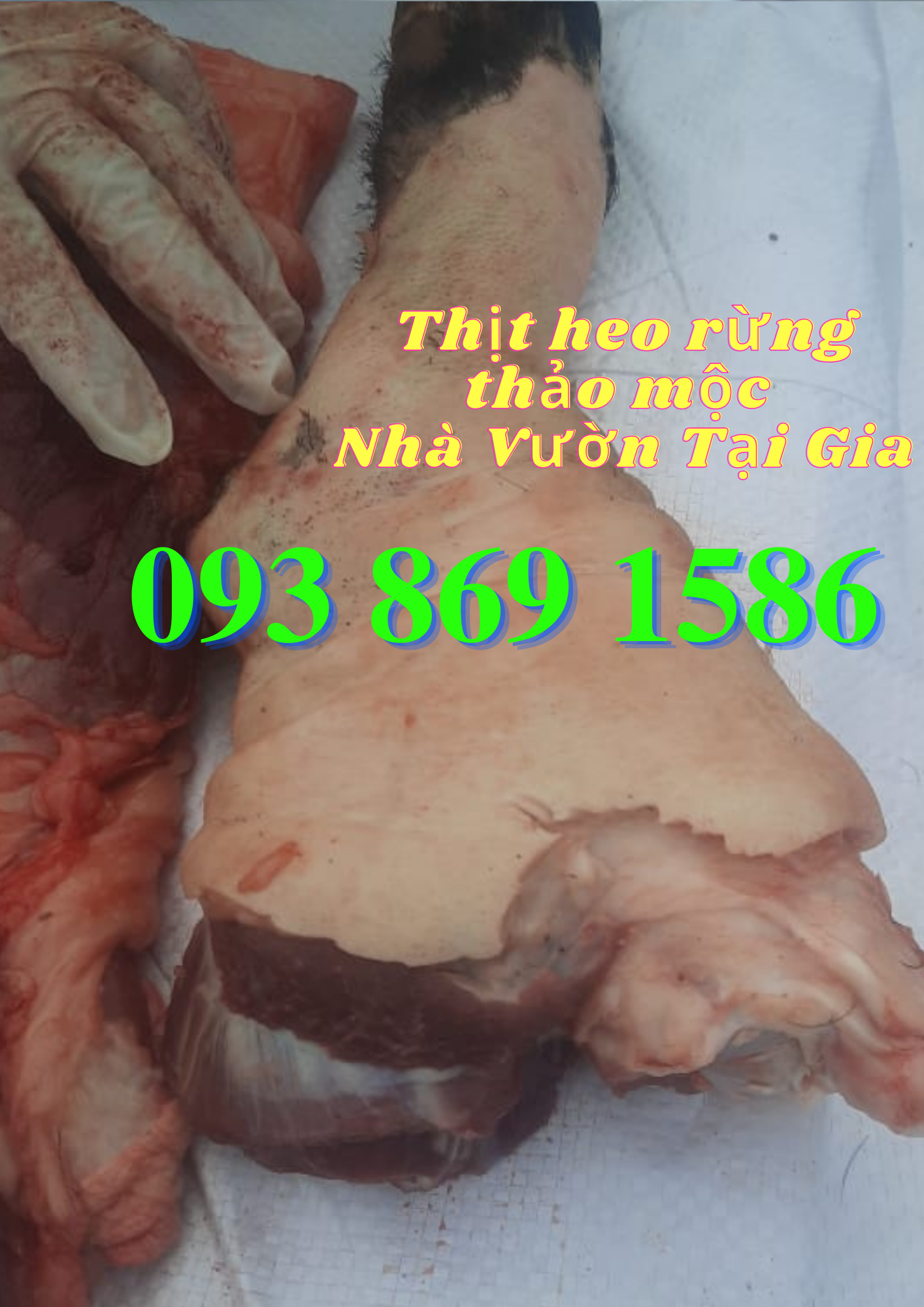 Mua thịt heo (lợn) rừng lai F1 tại TPHCM đặt trực tiếp từ nhà nuôi