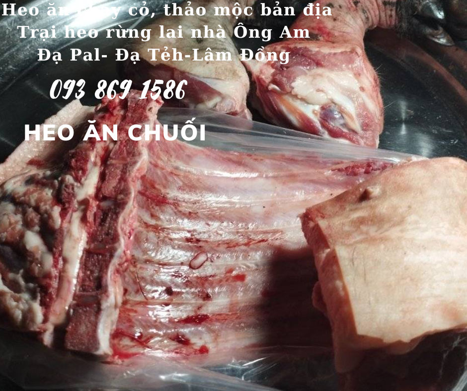 Heo ăn chuối chay thảo mộc Nhà ông Am Đạ Pal Lâm Đồng giá thịt heo bình ổn quanh năm từ trại Heo Rừng Lai