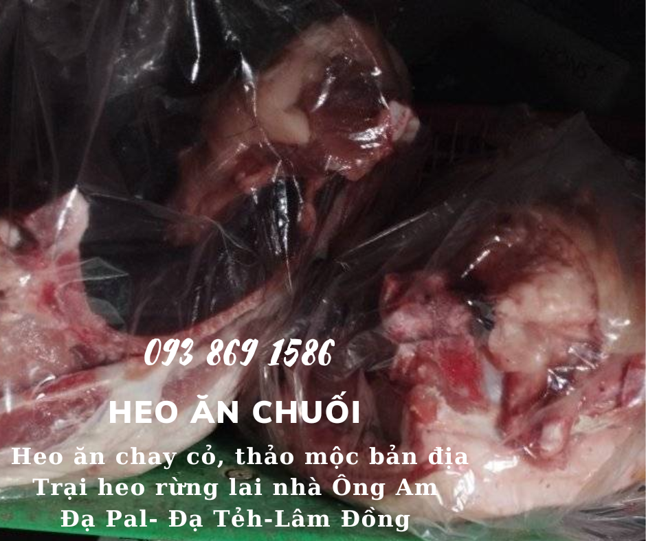 Heo ăn chuối chay thảo mộc Nhà ông Am Đạ Pal Lâm Đồng giá thịt heo bình ổn quanh năm từ trại Heo Rừng Lai