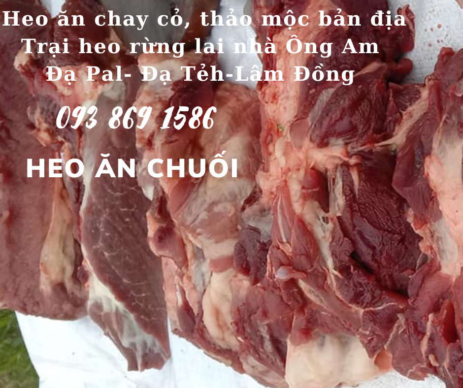 Heo ăn chuối chay thảo mộc Nhà ông Am Đạ Pal Lâm Đồng giá thịt heo bình ổn quanh năm từ trại Heo Rừng Lai