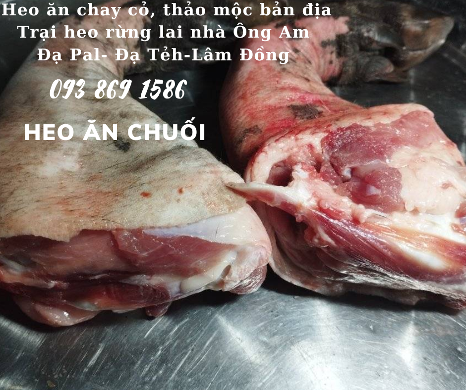 Heo ăn chuối chay thảo mộc Nhà ông Am Đạ Pal Lâm Đồng giá thịt heo bình ổn quanh năm từ trại Heo Rừng Lai