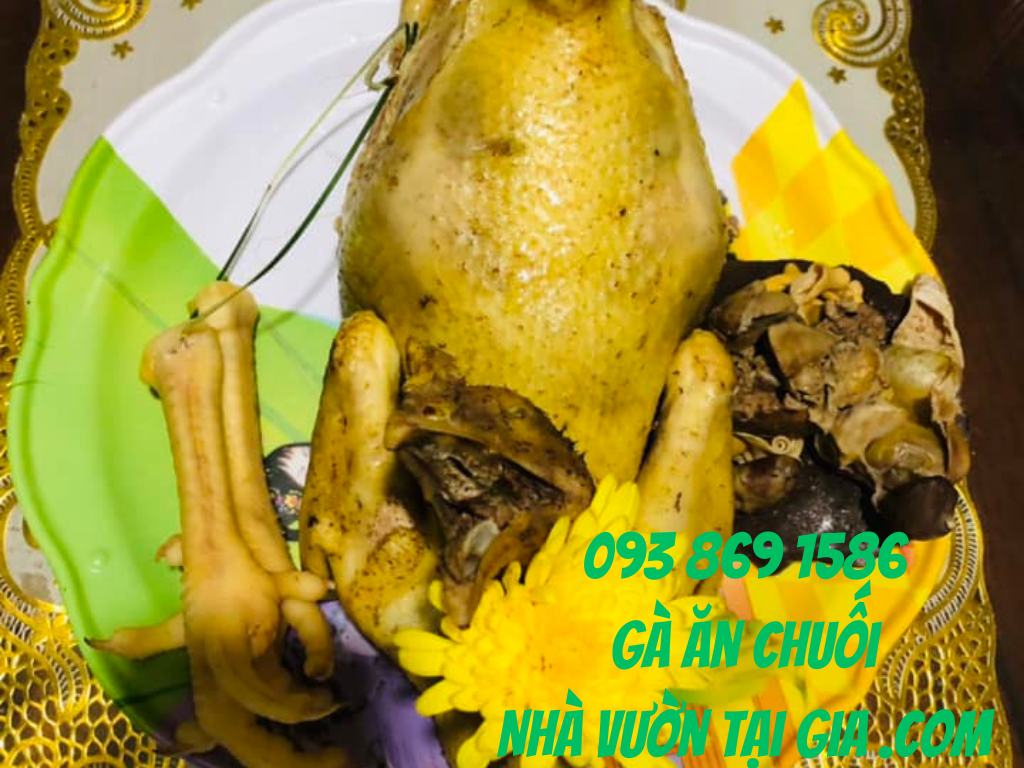 Gà Ăn Chuối Nhà Vườn Tại Gia thịt thơm ngon, nguồn thực phẩm sạch bảo vệ sự sống