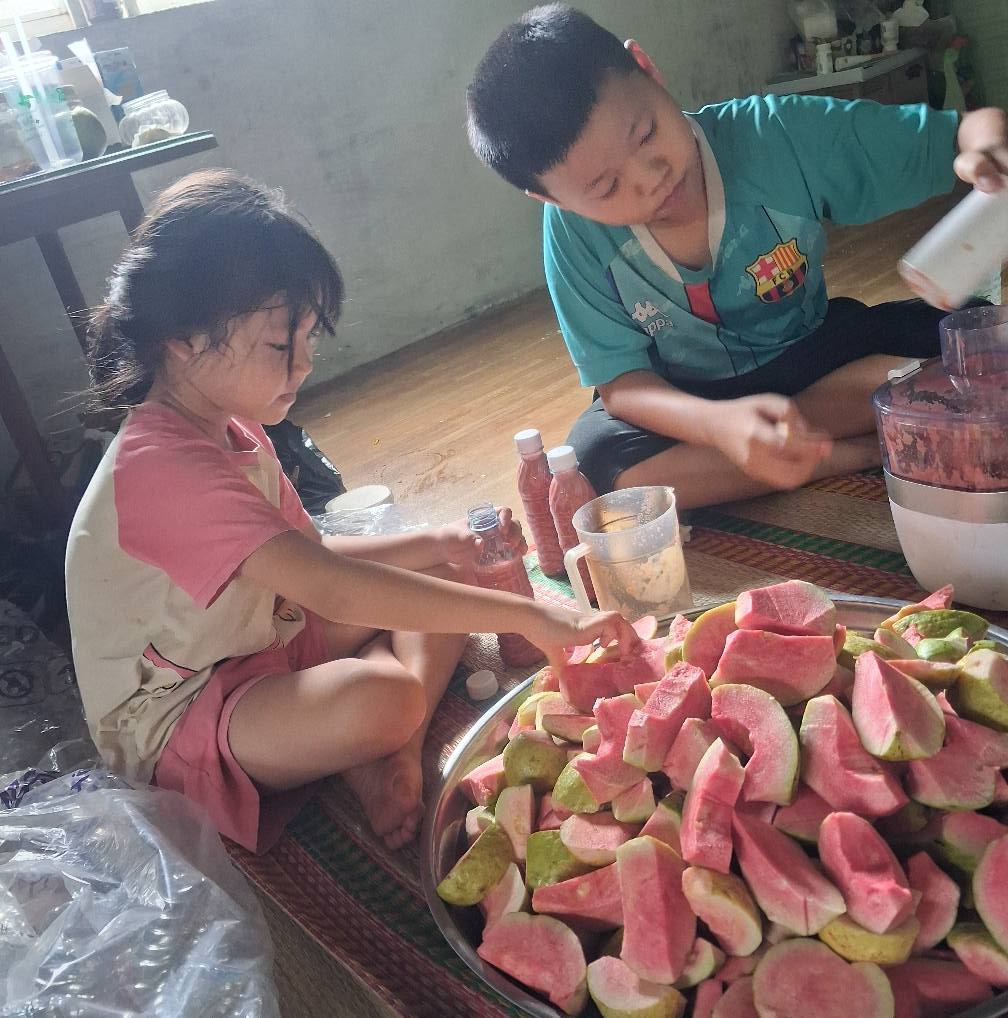Ổi ruby ruột đỏ nguồn ổi sạch không thuốc giới thiệu kênh Tiktok nhà vườn Đạt Lý Lâm Đồng