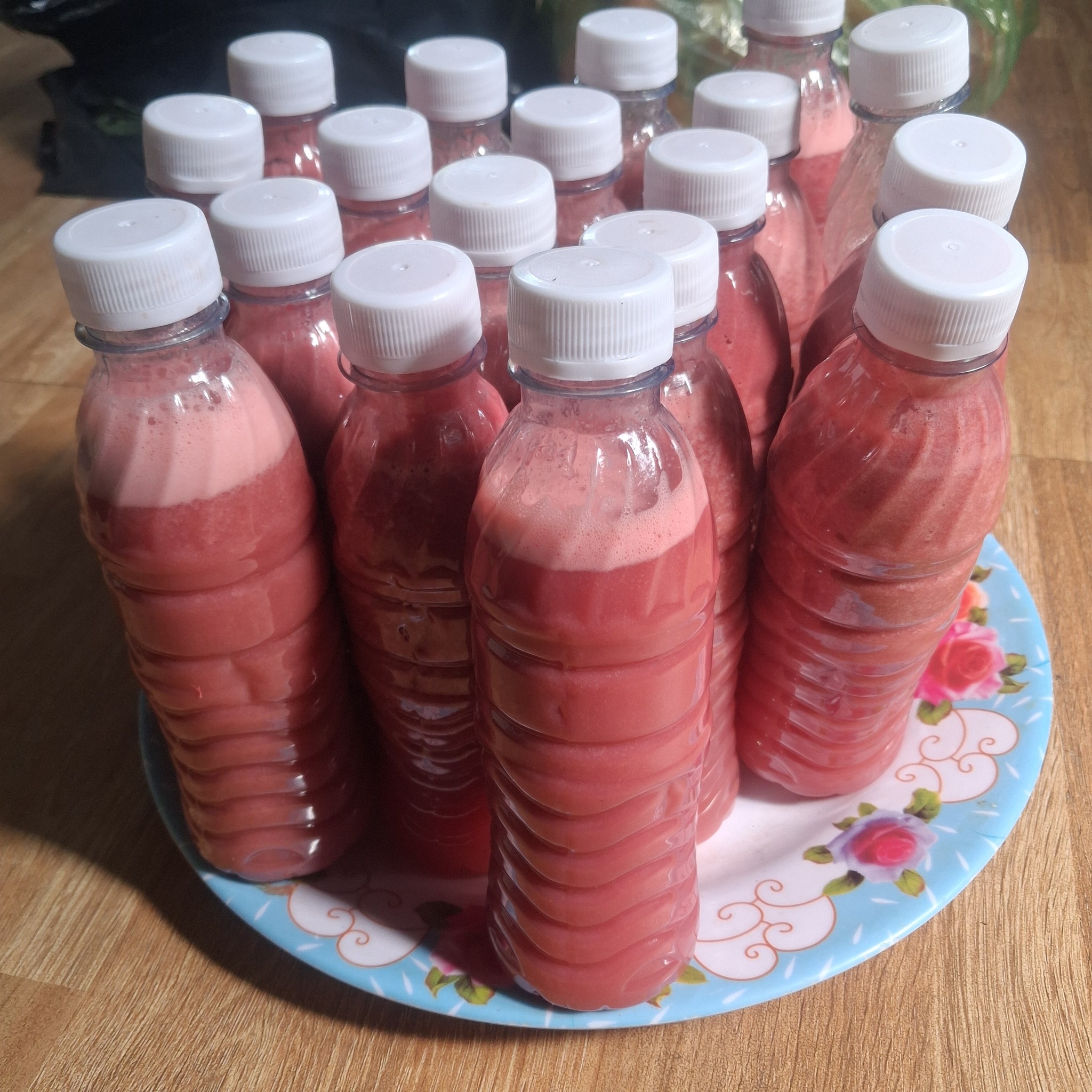 Ổi ruby ruột đỏ nguồn ổi sạch không thuốc giới thiệu kênh Tiktok nhà vườn Đạt Lý Lâm Đồng