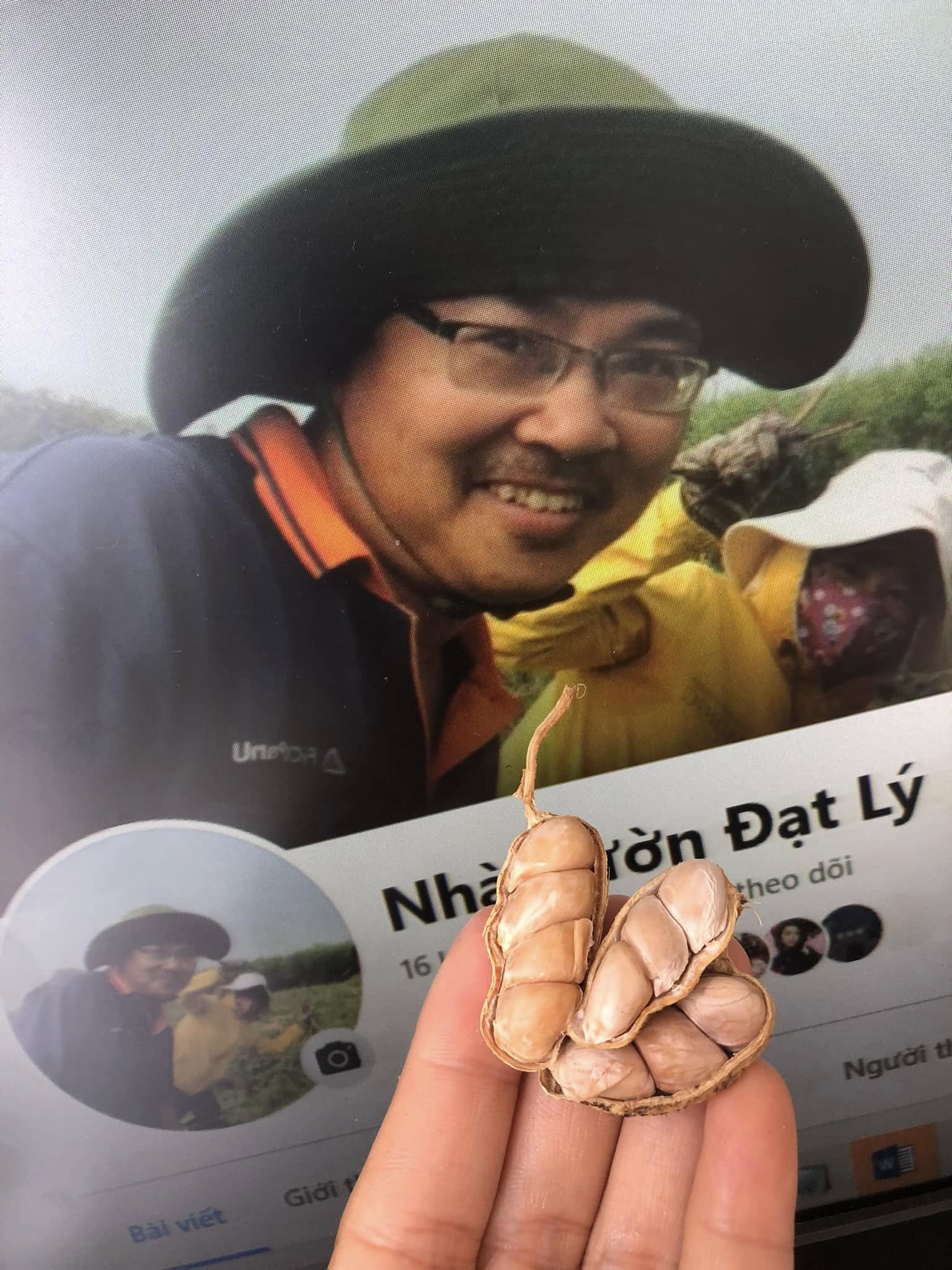 Ổi ruby ruột đỏ nguồn ổi sạch không thuốc giới thiệu kênh Tiktok nhà vườn Đạt Lý Lâm Đồng