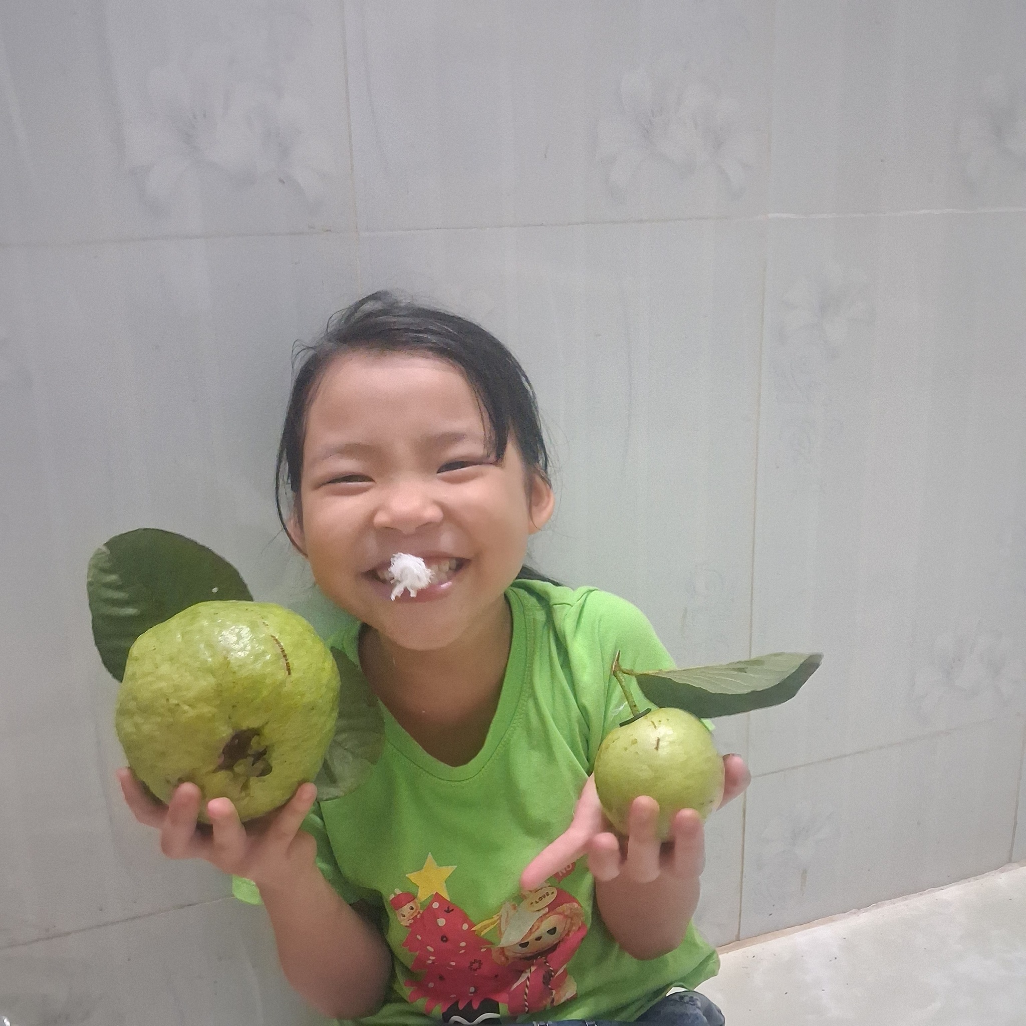 Ổi ruby ruột đỏ nguồn ổi sạch không thuốc giới thiệu kênh Tiktok nhà vườn Đạt Lý Lâm Đồng